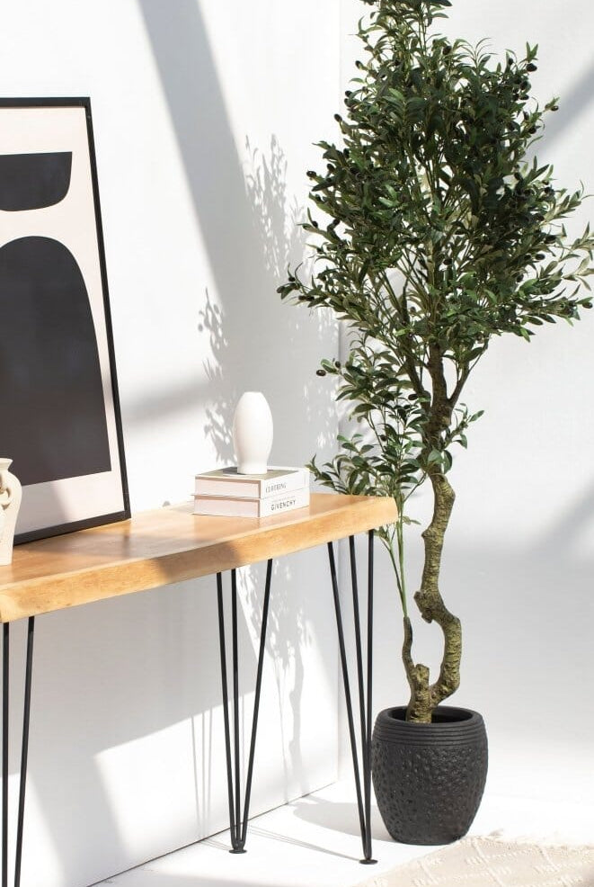 Olive Tree with olivesificial Plant (Pot not included)