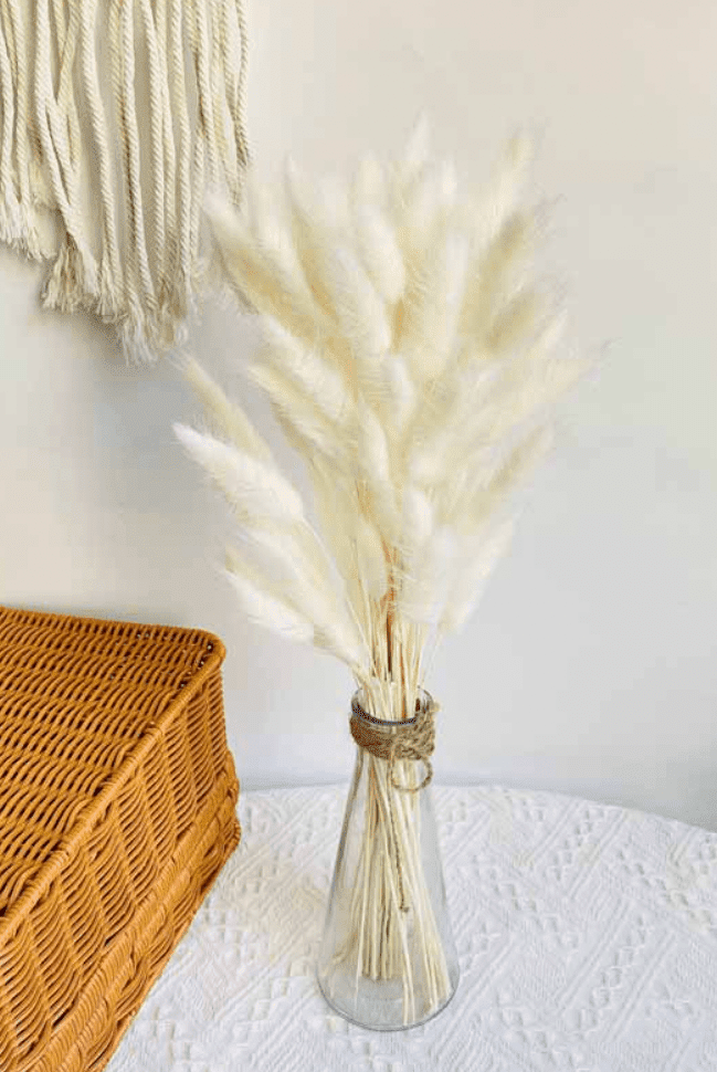 Dried Flower Off White Pampas (10 stems)