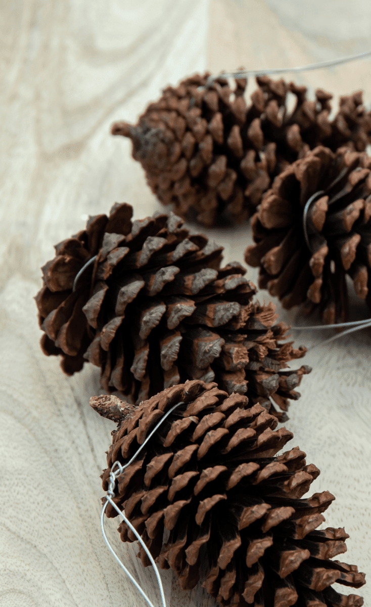 Pine Cone Christmas Tree Decor (Set of 4) Homekode