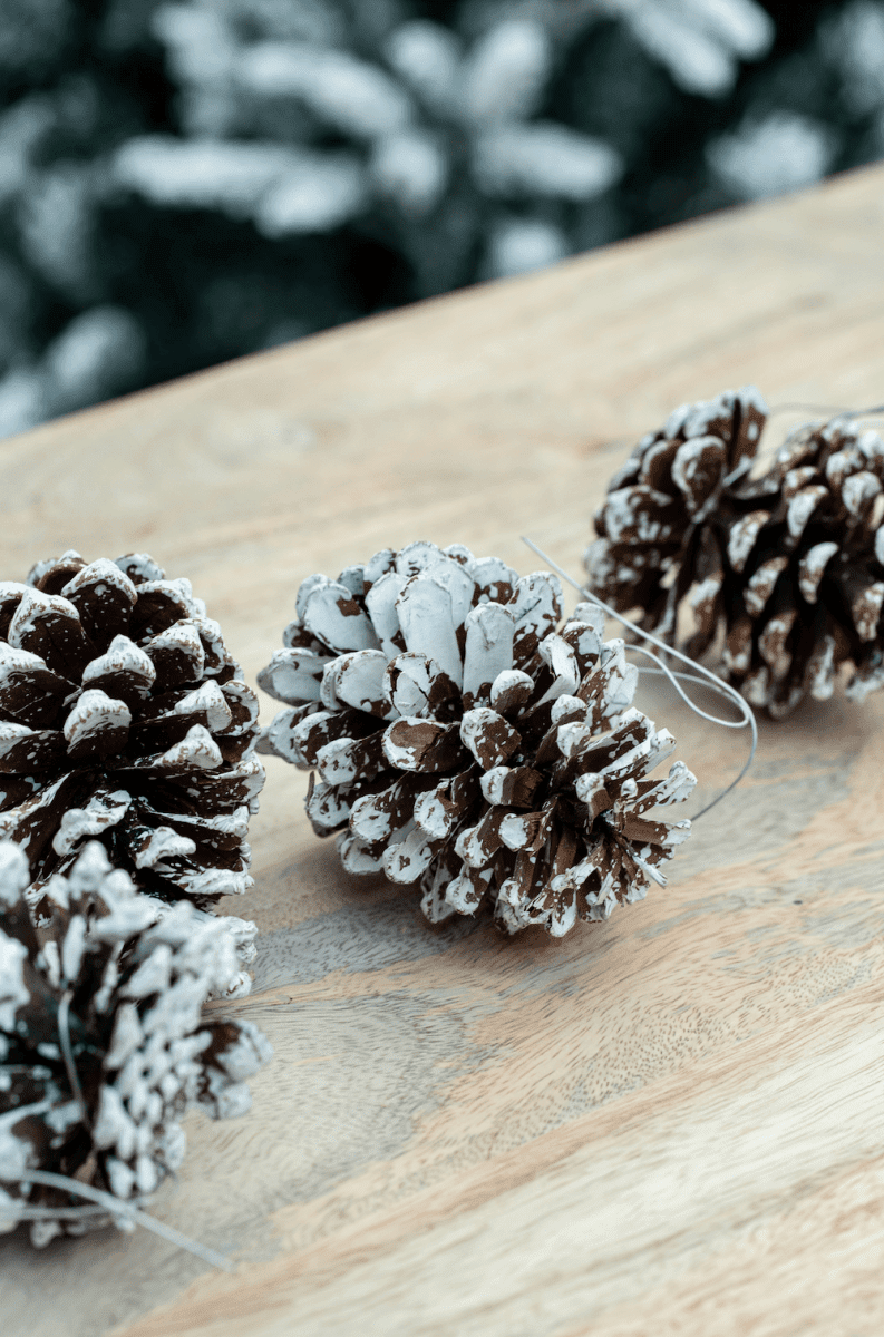 Snow Tipped Pine Cone Christmas Decor (Set of 4) Homekode