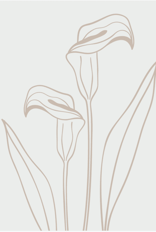 Botanical Bliss Wall