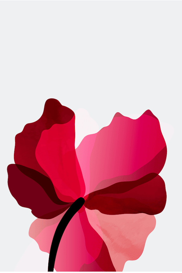 Blooming Romance Wall