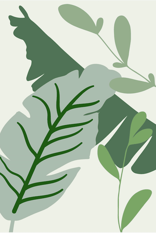 Tropical Leaves Wall