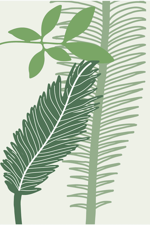 Cole and Son Palm Jungle Wall