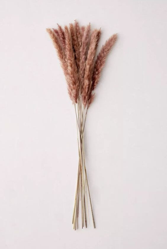 Dried Fountain Grass Bunch