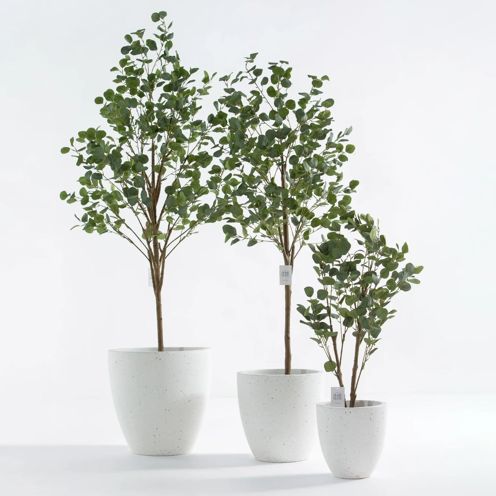 Artificial Plants & Pots