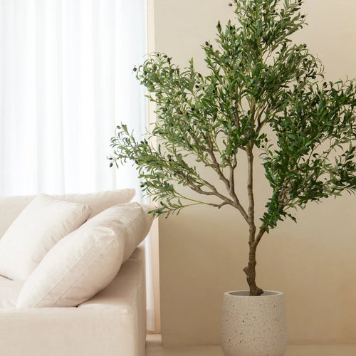 Artificial Plants & Trees