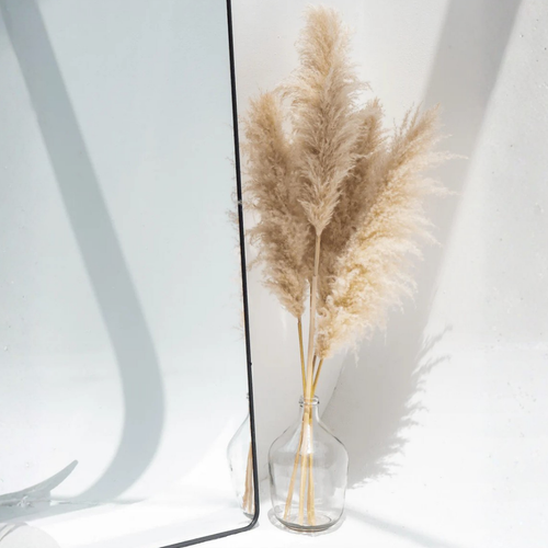 Pampas & Stems