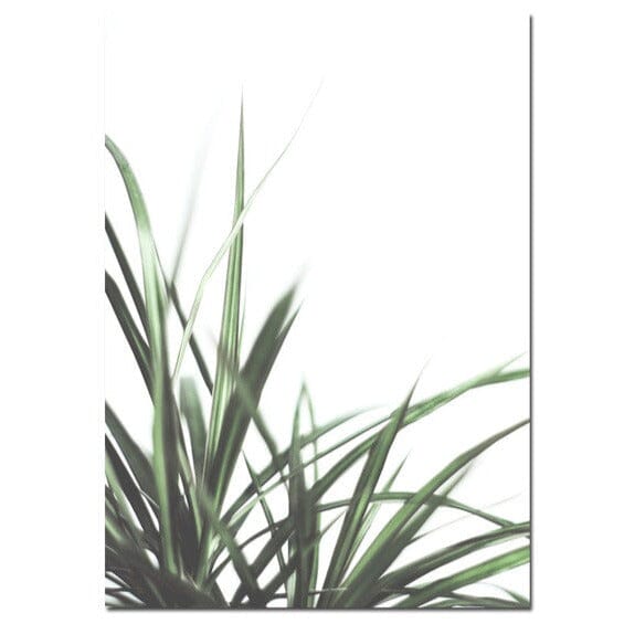 Spider Plant Wall Art