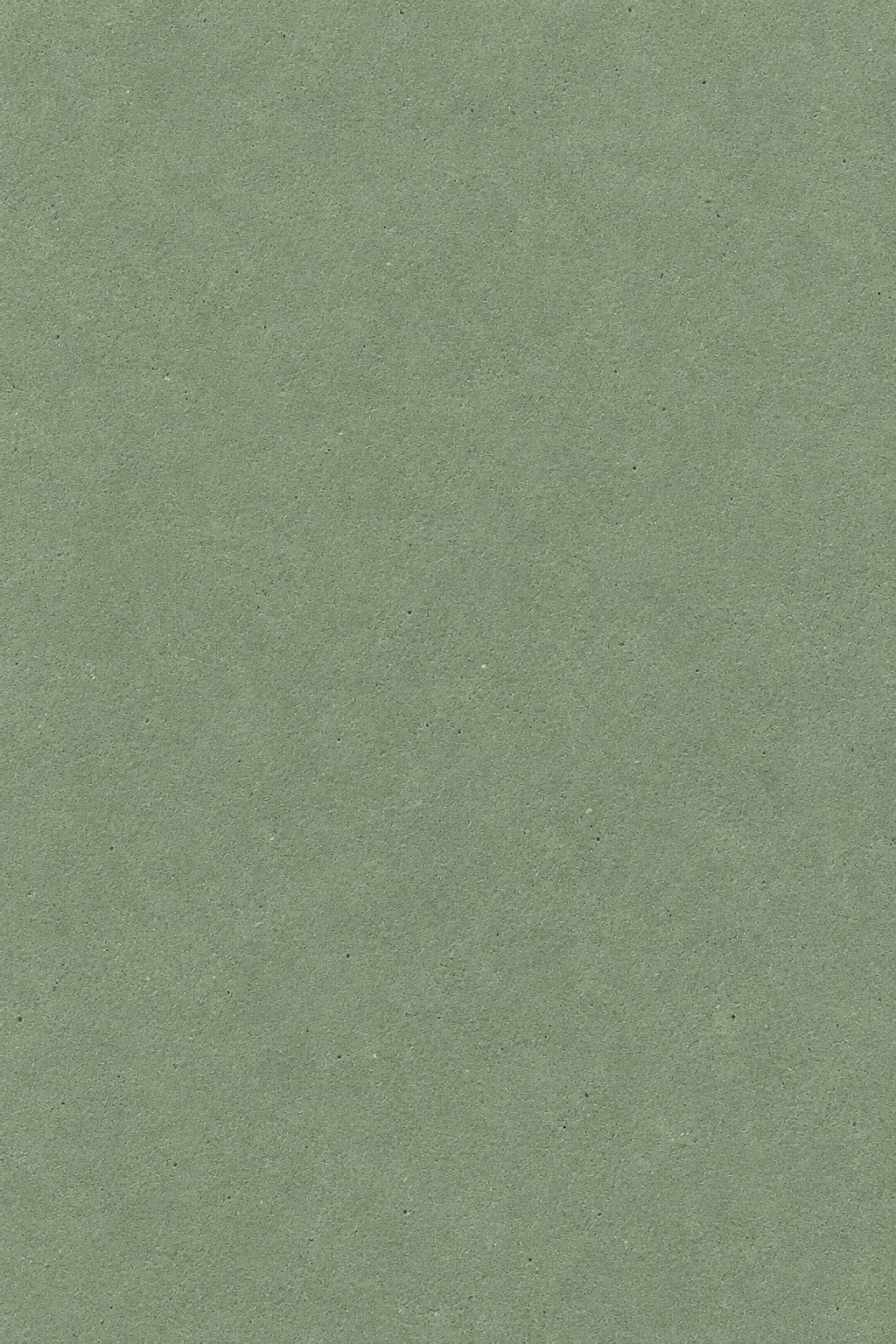 Arqen Sage Green Microconcrete Shoe Cabinet