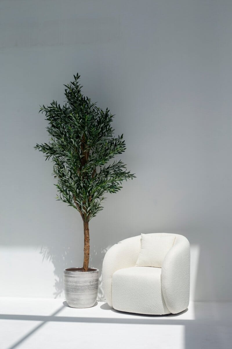 Artificial Olive Tree with Natural Wood Trunk 250CM (POT NOT INCLUDED)
