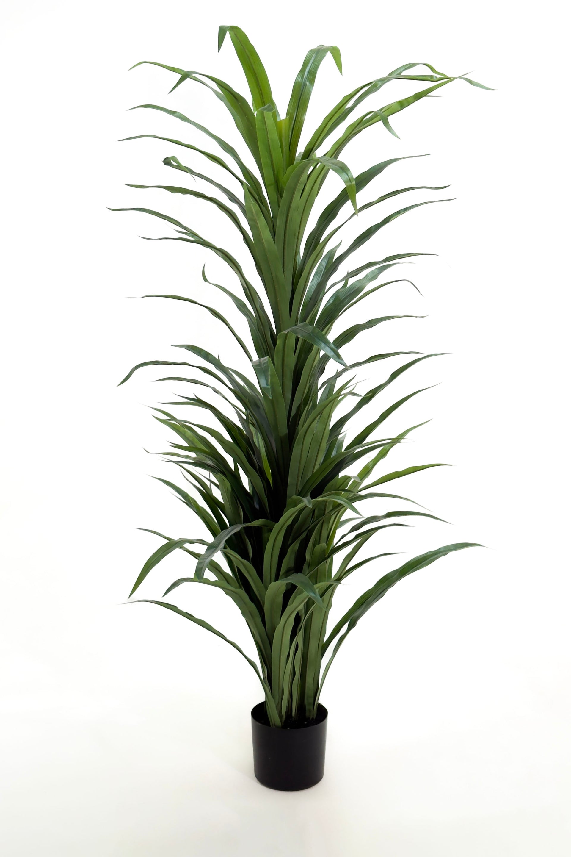 dracaena accent Artificial Dracaena Plant — Decorative Green Accent for Modern Interiors –  Homekode