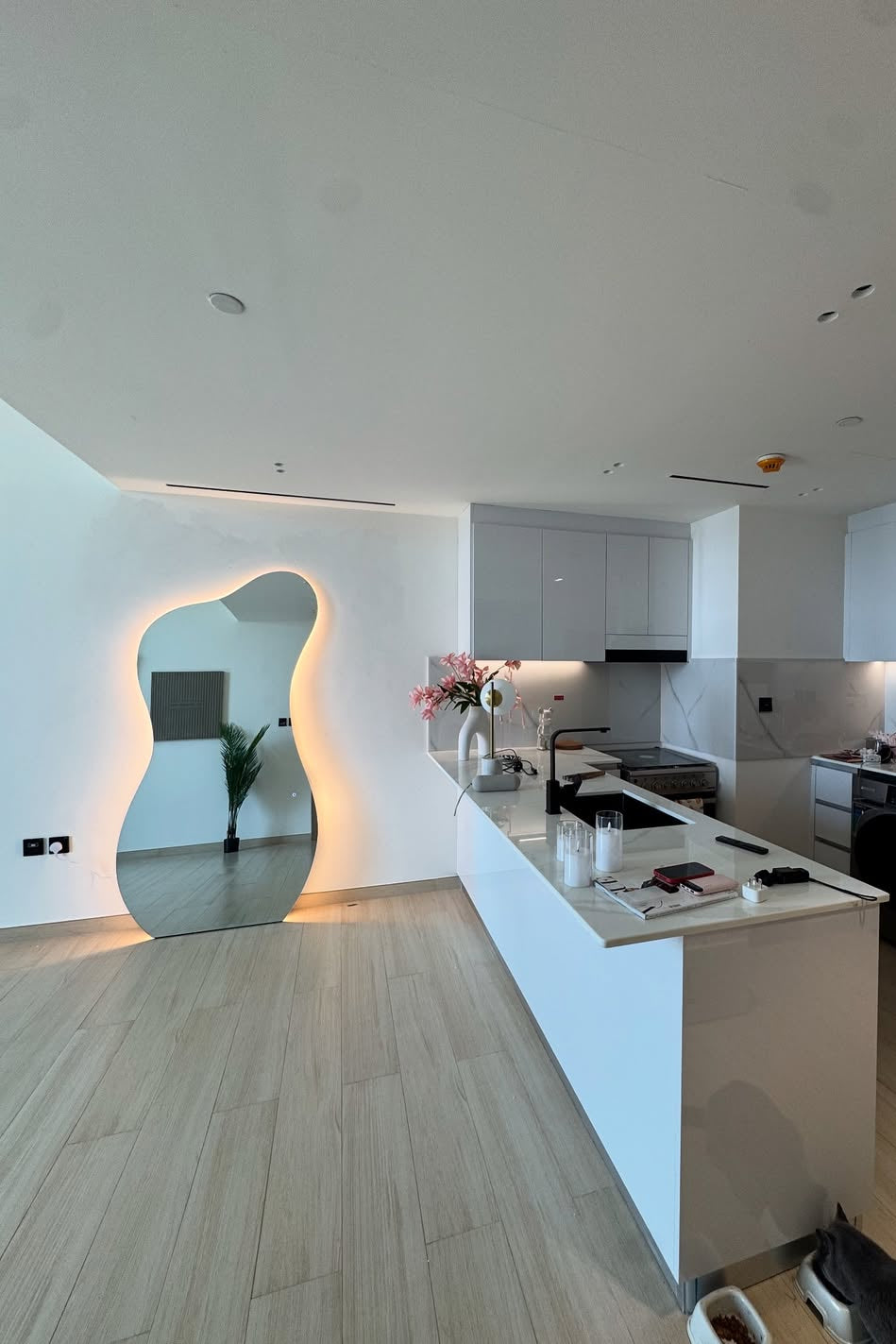 Elle Frameless Floor Standing Irregular Mirror