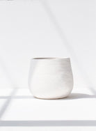 White Texture Ceic Plant pot (3 Sizes) 