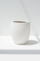 White Terracotta Pot (3 Sizes) FLO 