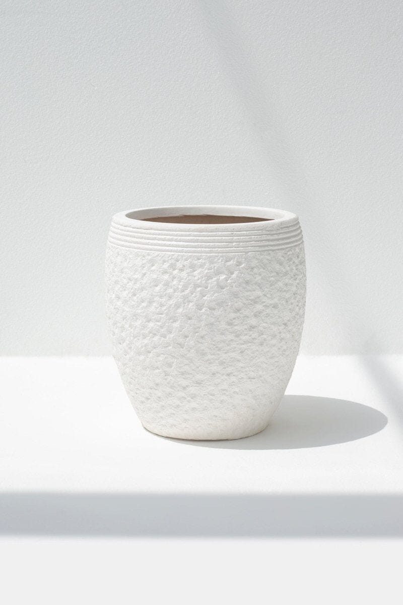 White Terracotta Pot (3 Sizes) FLO 