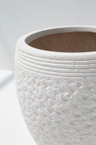 White Terracotta Pot (3 Sizes) FLO 