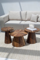 Xenia Nesting Wooden Coffee Table ART 