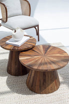 Xenia Nesting Wooden Coffee Table 