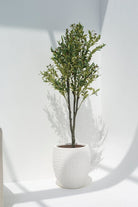 Olive Artificial Tree (Pot not included) FLO 