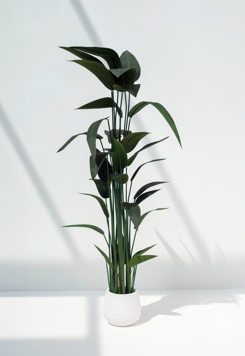 Strelitzia Reginae Artificial Plant (Pot not included) FLO 