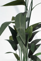 Strelitzia Reginae Artificial Plant (Pot not included) FLO 