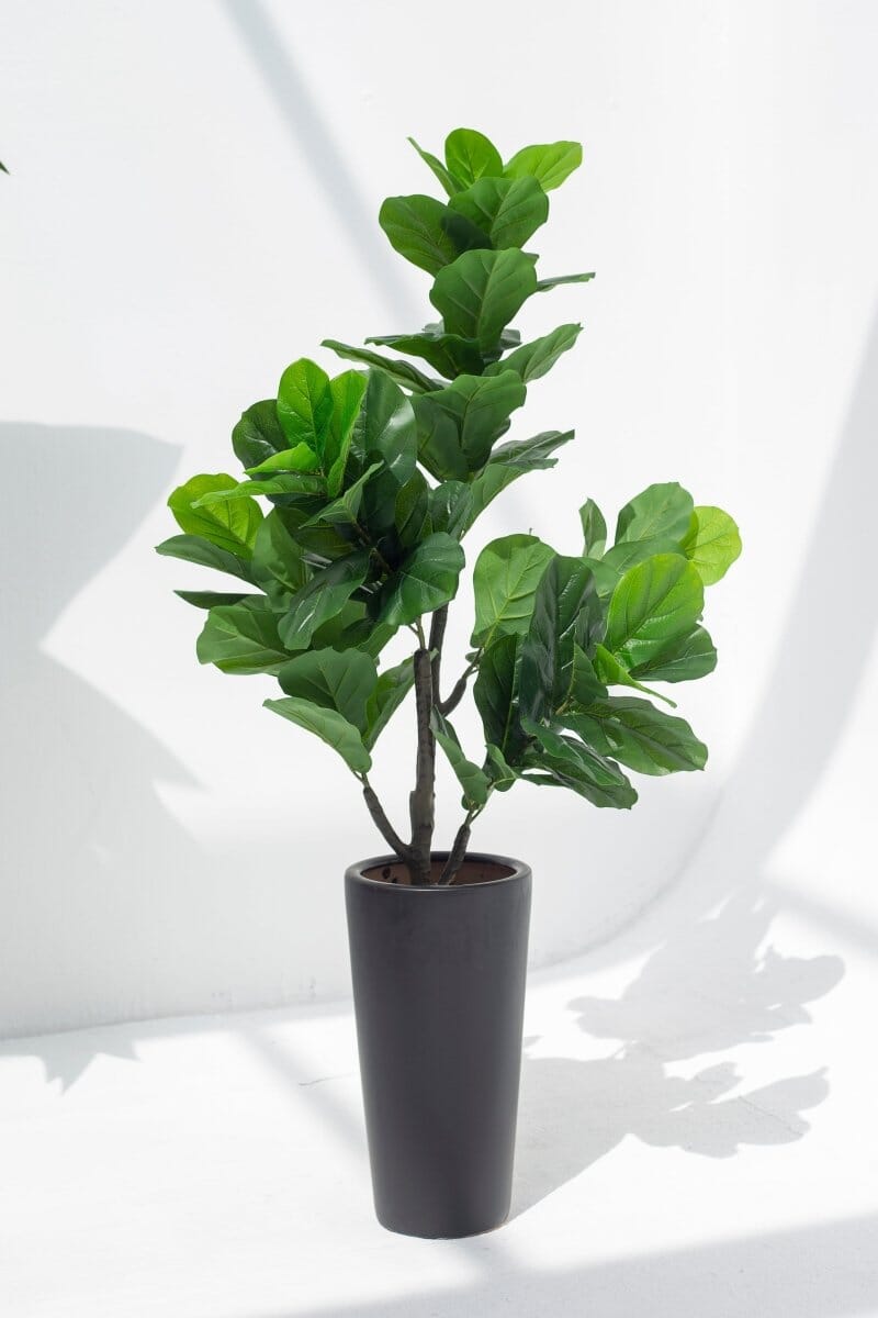 Fiddle Leafificial Plant (Pot not included) Homekode 