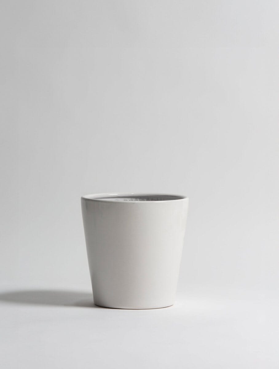 Pure White Ceramic Pot I (3 Sizes) FLO 