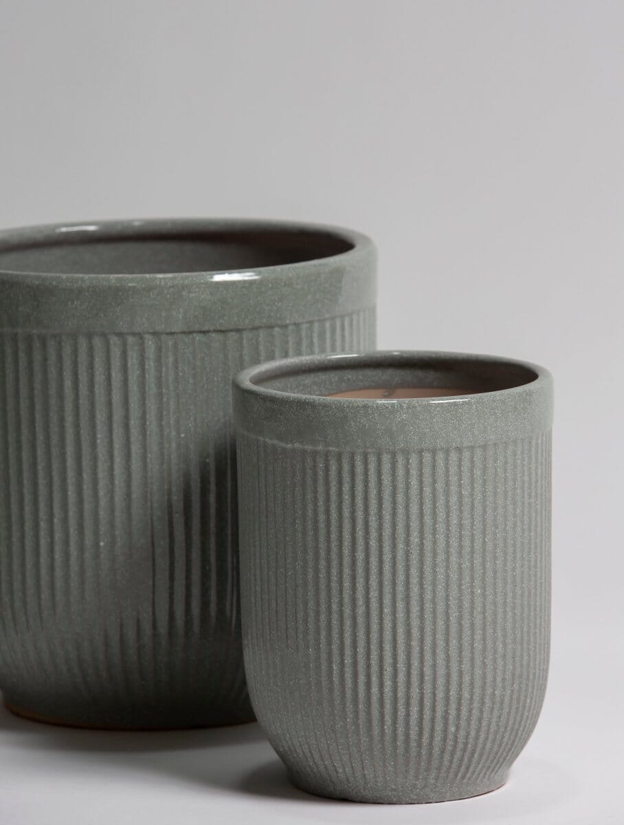 Moss Crest Ceramic Pot (3 Sizes)