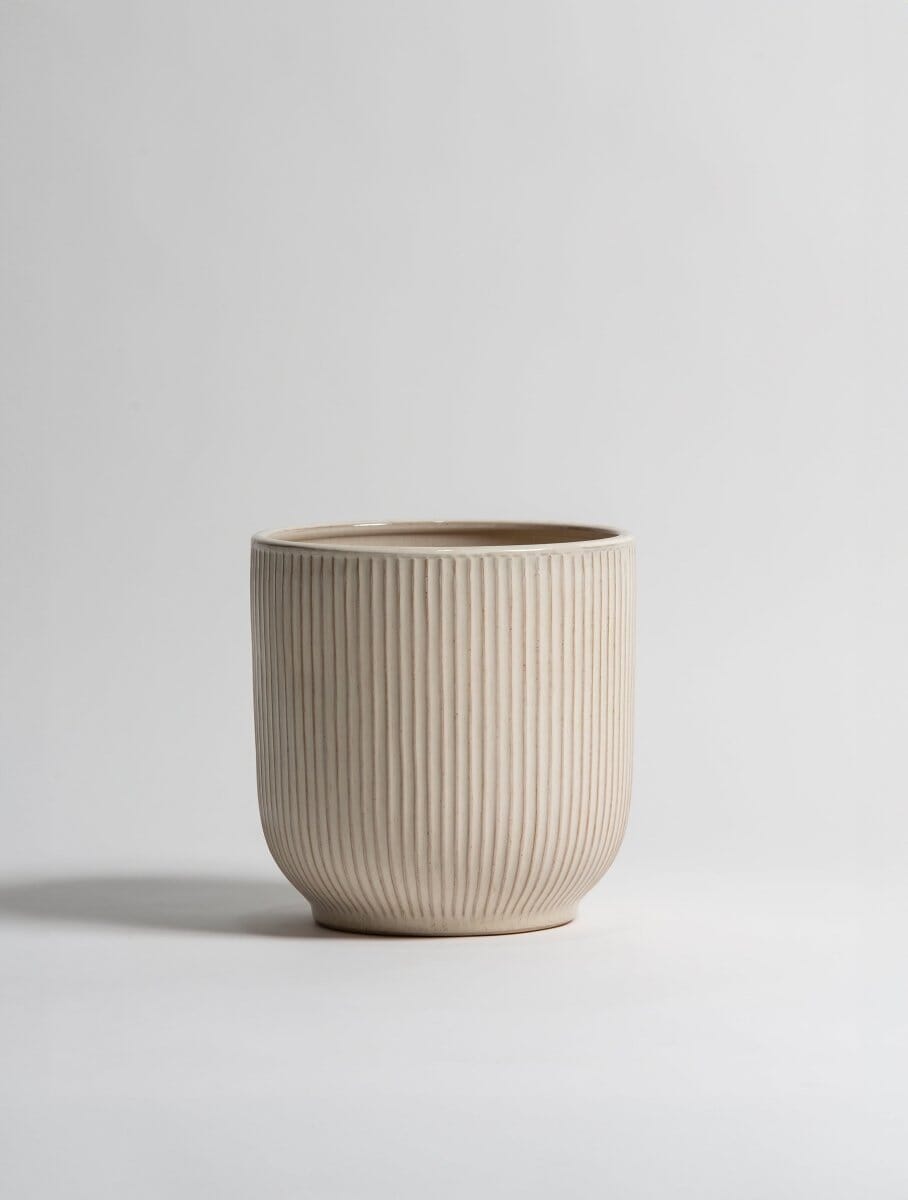 Beige Crest Ceramic Pot (3 Sizes)