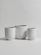 White Crest Ceramic Pot (3 Sizes) FLO 