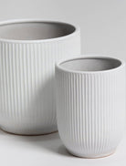 White Crest Ceramic Pot (3 Sizes) FLO 