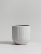 White Crest Ceramic Pot (3 Sizes) FLO 