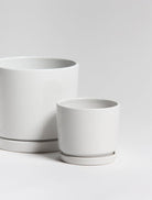 Ivory Shine Ceramic Pot (3 Sizes)