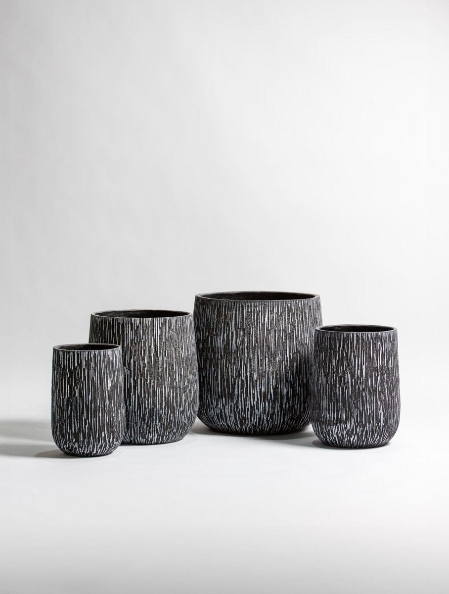 Blackwood Texture Fiber Ceic Pot (4 Sizes) 