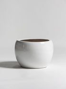 Pure Sphere Ceramic Pot (2 Sizes) FLO 