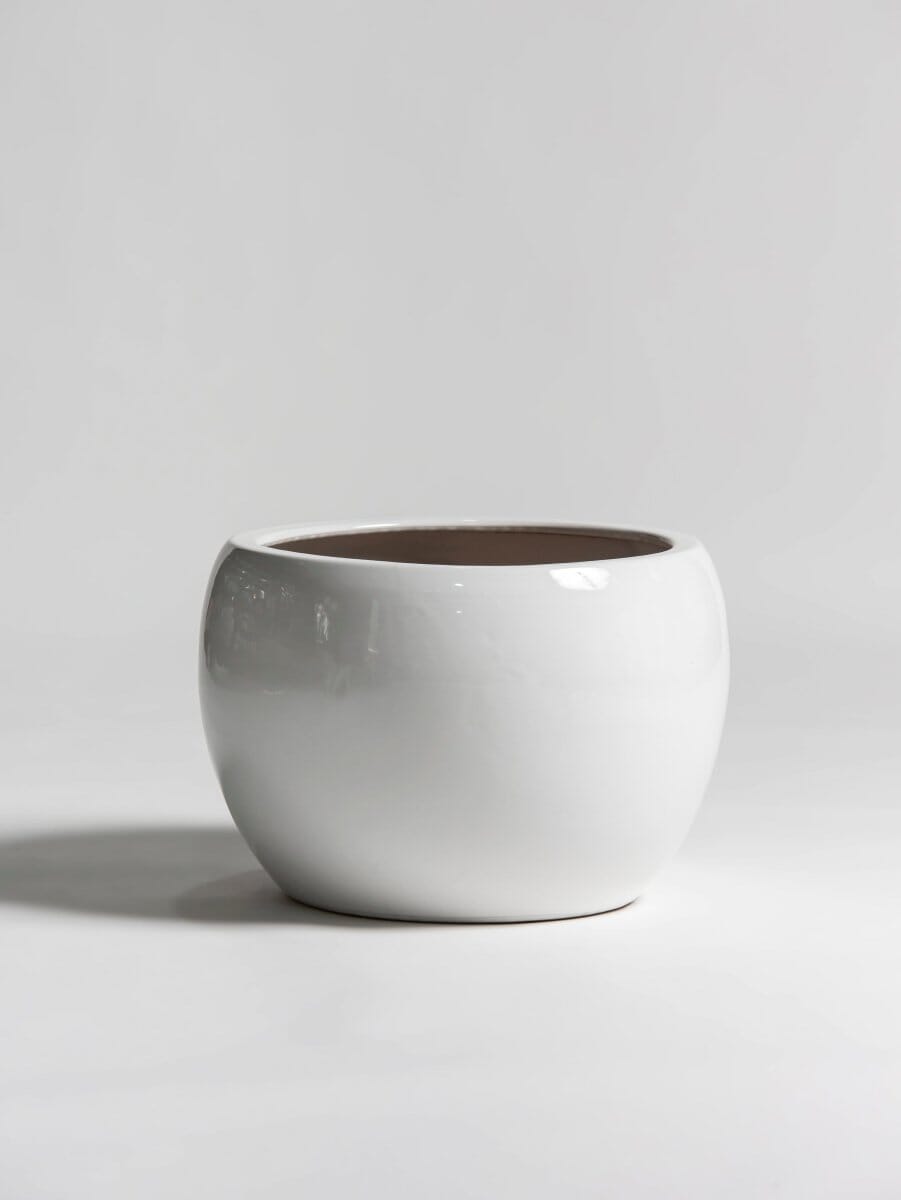 Pure Sphere Ceramic Pot (2 Sizes) FLO 