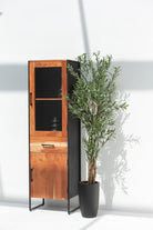 2 Door Cabinet 