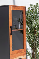 2 Door Cabinet 