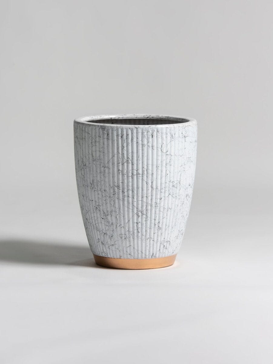 Gilded Groove Ceramic Pot (3 Sizes)