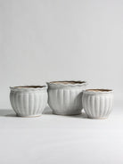 Coastal Wave Ceramic Pot (3 Sizes)