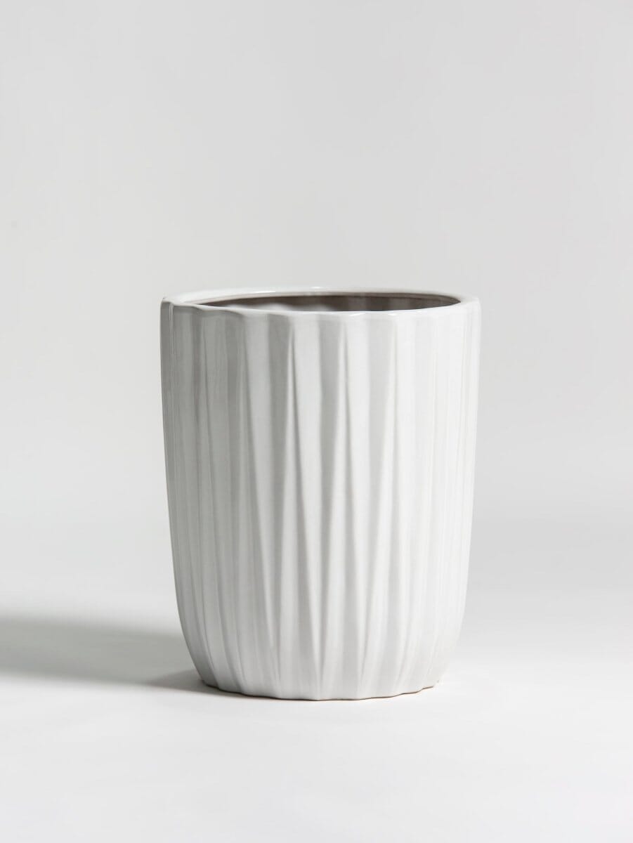 Silken Pleat Ceramic Pot (3 Sizes) FLO 