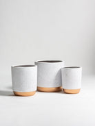 Gilded Groove Ceramic Pot III (3 Sizes) FLO 