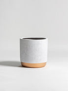 Gilded Groove Ceramic Pot III (3 Sizes)