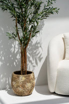 ificial Olive Tree 210CM with Natural Wood Trunk (POT NOT INCLUDED)