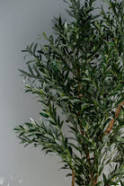 ificial Olive Tree 210CM with Natural Wood Trunk (POT NOT INCLUDED)