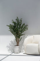 ificial Olive Tree 150CM with Natural Wood Trunk (POT NOT INCLUDED)