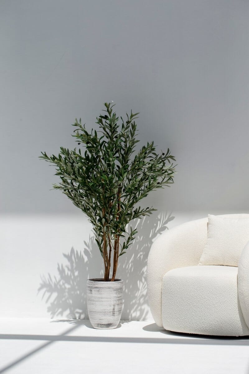 Artificial Olive Tree 150CM with Natural Wood Trunk (POT NOT INCLUDED) FLO 