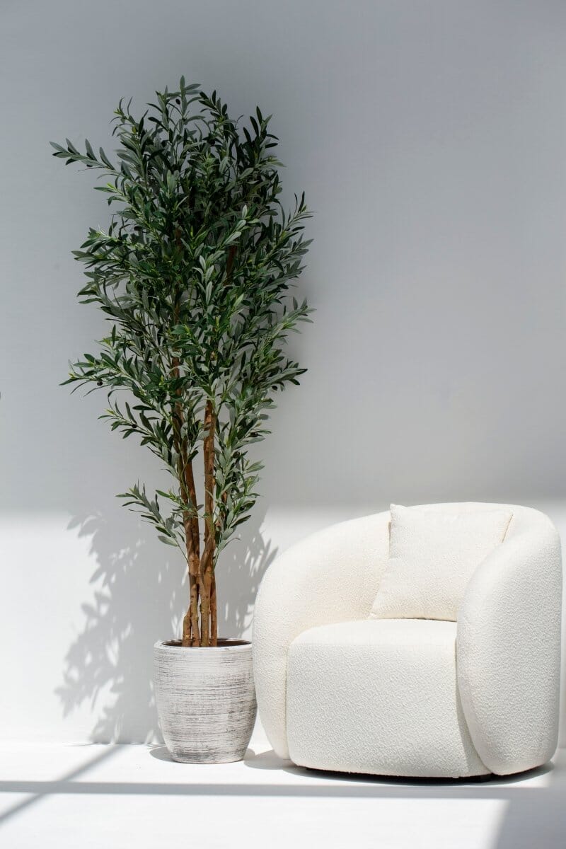 ificial Olive Tree 210CM with Natural Wood Trunk (POT NOT INCLUDED)