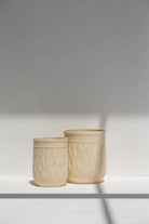 Beige Plant Pot (2 Sizes)